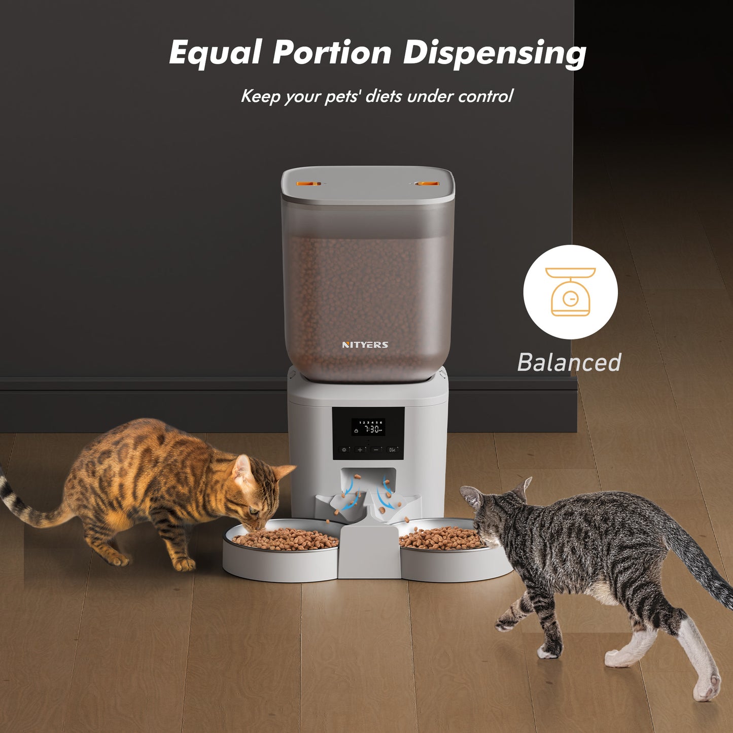 Automatic Cat Feeder for 2 Cats & Dogs - 8L/34 Cups Large Capacity Auto Cat Food Dispenser with LCD Screen, 2 Food Trays, Timed Cat Feeder, Up to 50 Portions 6 Meals Per Day, Keep Fresh, Black