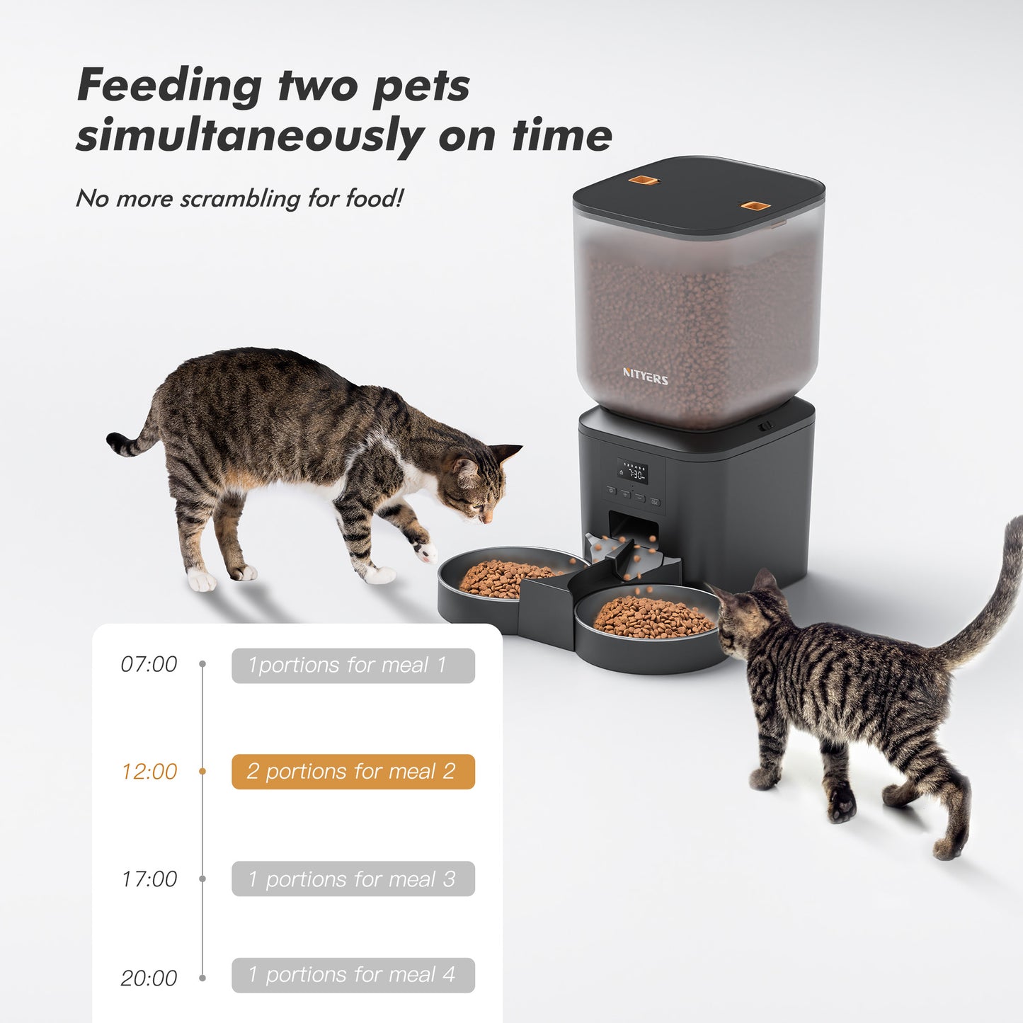 Automatic Cat Feeder for 2 Cats & Dogs - 8L/34 Cups Large Capacity Auto Cat Food Dispenser with LCD Screen, 2 Food Trays, Timed Cat Feeder, Up to 50 Portions 6 Meals Per Day, Keep Fresh, Black