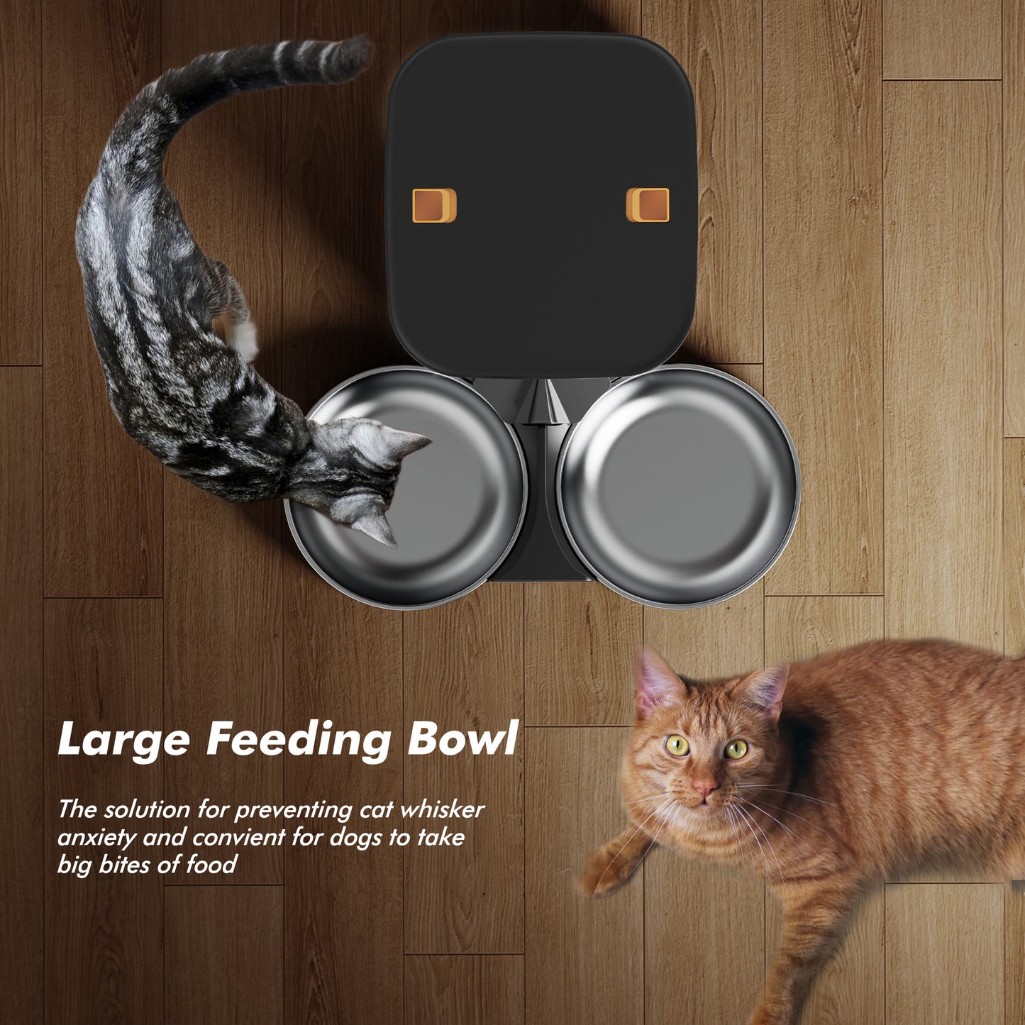 Automatic Cat Feeder for 2 Cats & Dogs - 8L/34 Cups Large Capacity Auto Cat Food Dispenser with LCD Screen, 2 Food Trays, Timed Cat Feeder, Up to 50 Portions 6 Meals Per Day, Keep Fresh, Black