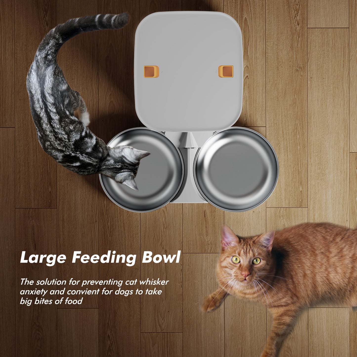 Automatic Cat Feeder for 2 Cats & Dogs - 8L/34 Cups Large Capacity Auto Cat Food Dispenser with LCD Screen, 2 Food Trays, Timed Cat Feeder, Up to 50 Portions 6 Meals Per Day, Keep Fresh, Black