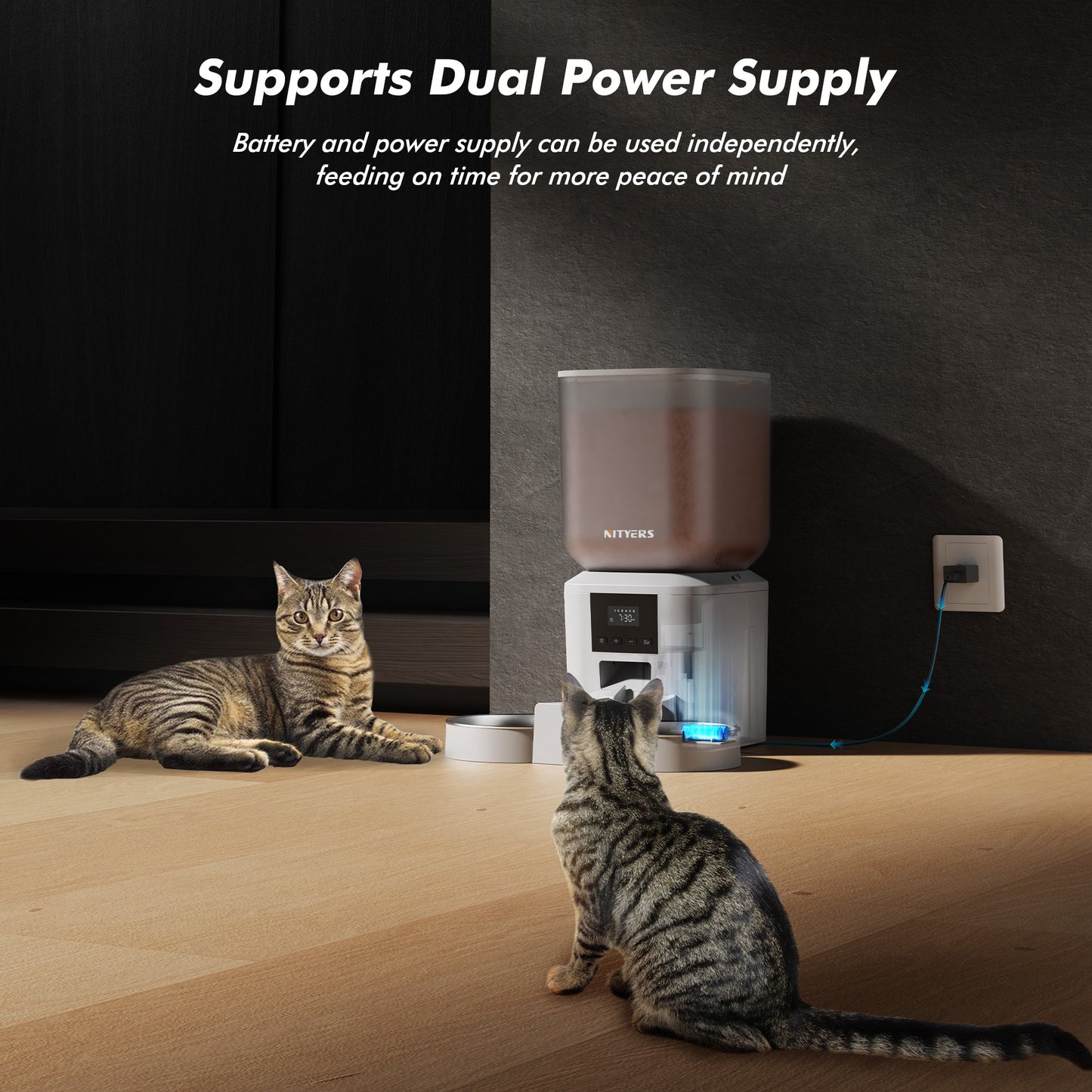 Automatic Cat Feeder for 2 Cats & Dogs - 8L/34 Cups Large Capacity Auto Cat Food Dispenser with LCD Screen, 2 Food Trays, Timed Cat Feeder, Up to 50 Portions 6 Meals Per Day, Keep Fresh, Black