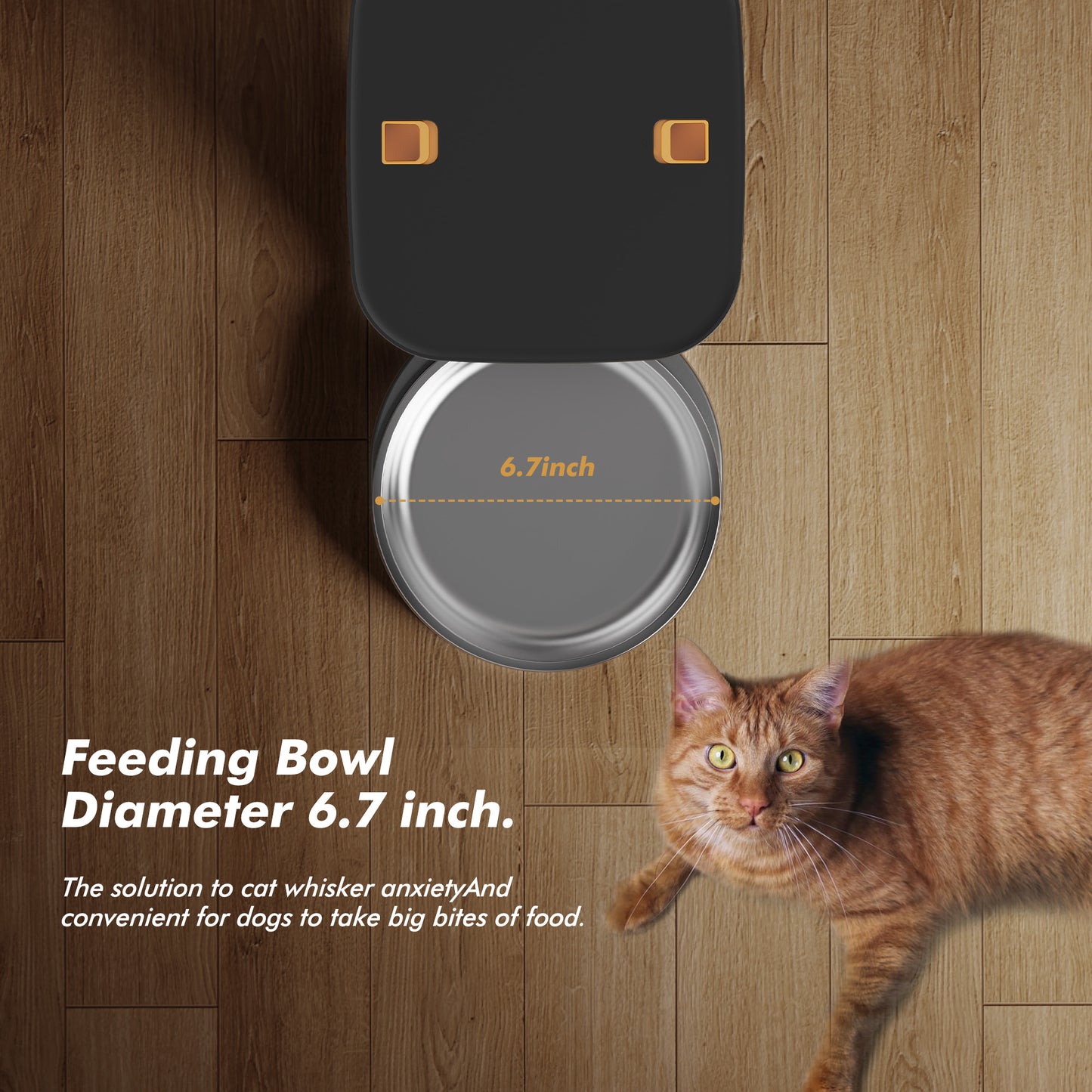 Automatic Dog Feeder - 8L/34 Cups Large Capacity Automatic Cat Food Dispenser with LCD Screen, Large Food Tray, Battery Operated, Timed Cat Feeder, Up to 50 Portions 6 Meals Per Day, Keeps Fresh